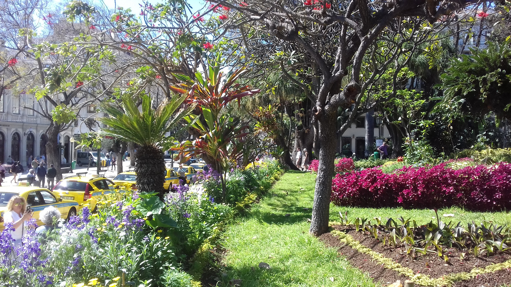 Park in Funchal