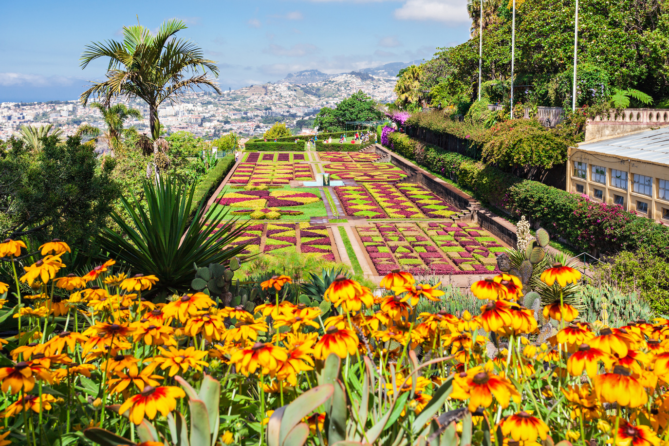 Botanical Gardens Madeira