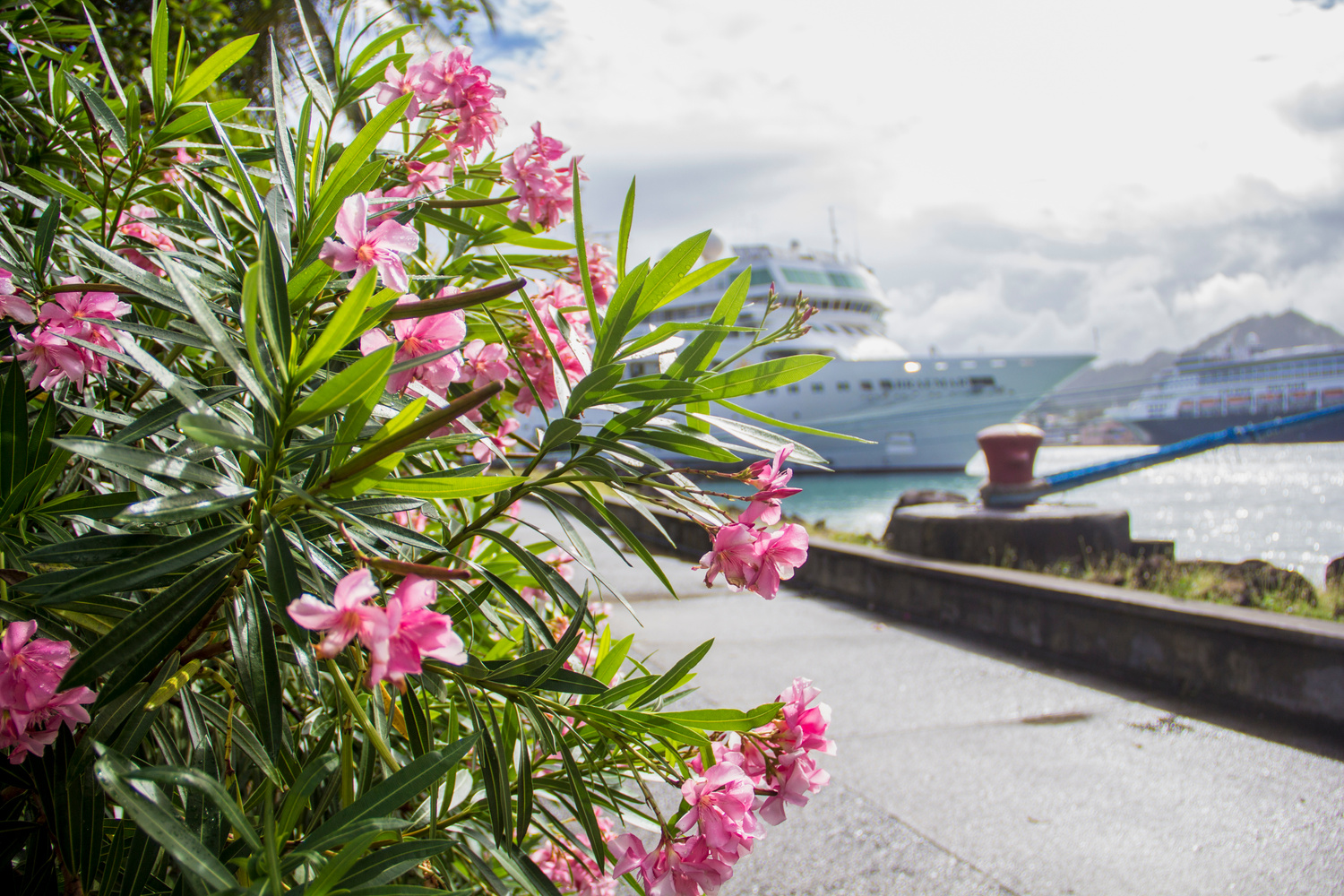 Cruising Caribbean